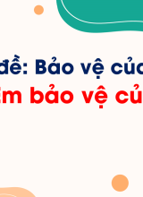 Bài 8. Em bảo vệ của công